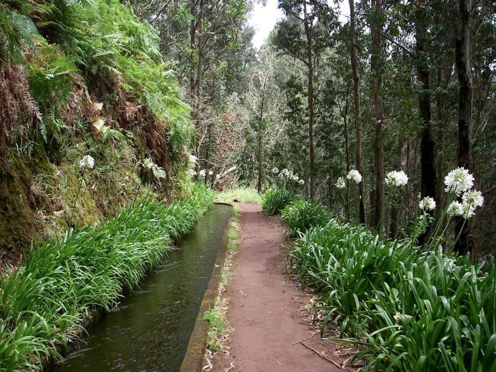 Pico Dos Anjos Villa Porto Moniz Eksteriør billede
